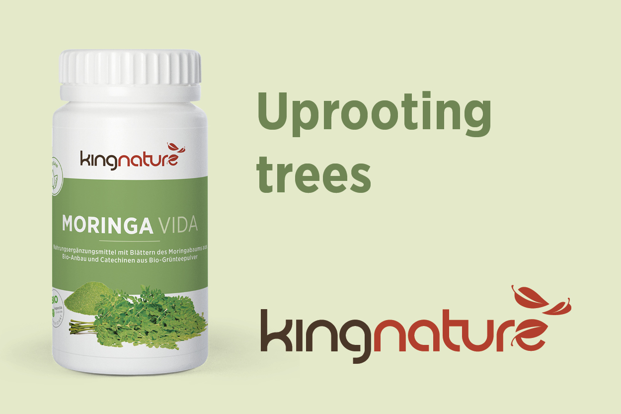 Moringa VIda, Uprooting trees